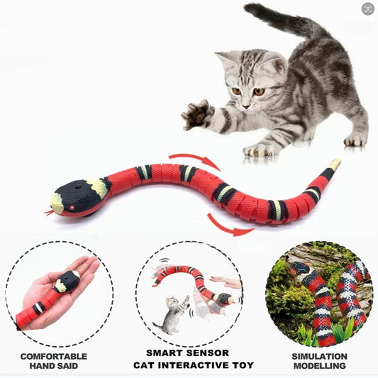 Interactive Snake