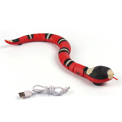 Interactive Snake