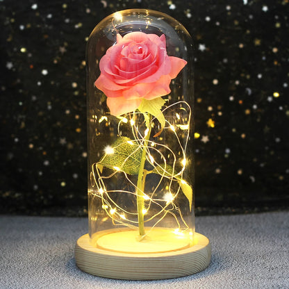 Enchanted Rose