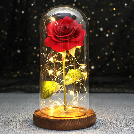 Enchanted Rose