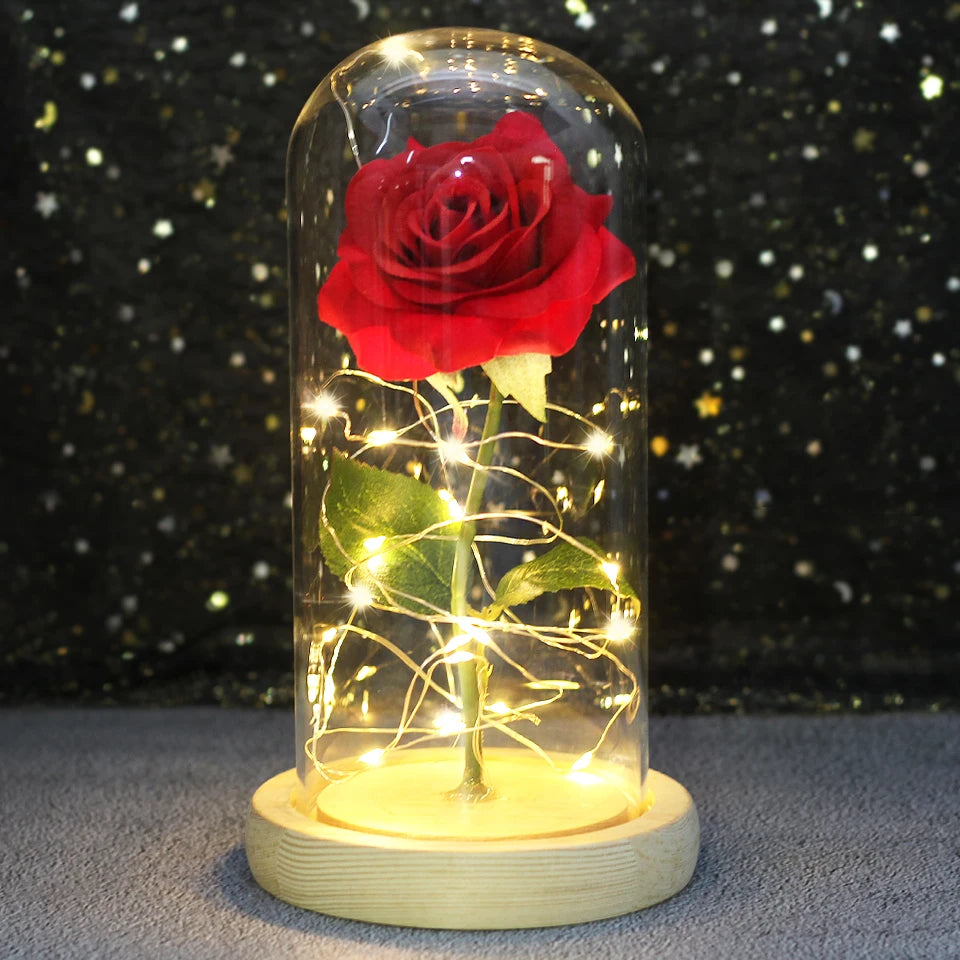 Enchanted Rose